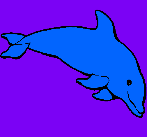 Dibujo Delfín contento pintado por happyhappy