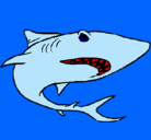 Dibujo Tiburón pintado por jejej