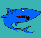 Dibujo Tiburón pintado por Lunasol