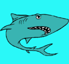Dibujo Tiburón pintado por giancarlo