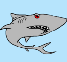 Dibujo Tiburón pintado por cocoloco