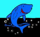 Dibujo Tiburón pintado por birene