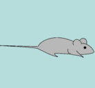 Dibujo Rata pintado por Alive