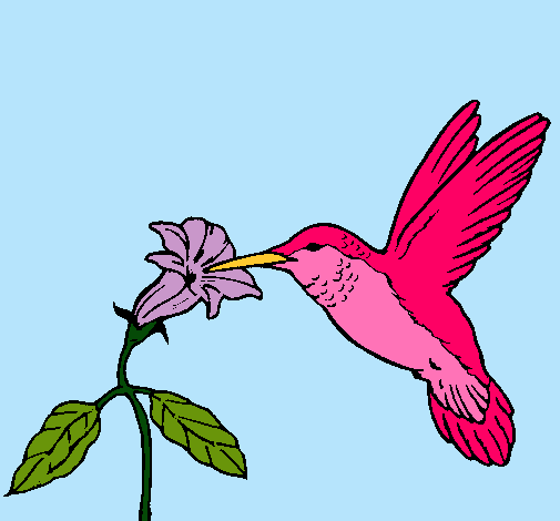 Dibujo Colibrí y una flor pintado por Miri96