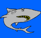 Dibujo Tiburón pintado por shark