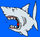 Dibujo Tiburón pintado por jkjkk
