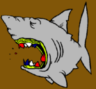 Dibujo Tiburón pintado por ecatl