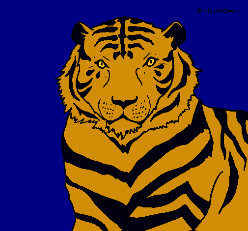 Dibujo Tigre pintado por bizz