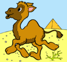 Dibujo Camello pintado por xoaaaa