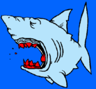Dibujo Tiburón pintado por masaca