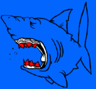 Dibujo Tiburón pintado por ethan6