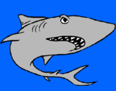 Dibujo Tiburón pintado por gabrieliraol