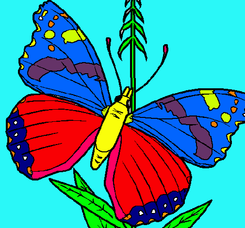 Dibujo Mariposa pintado por PokPok