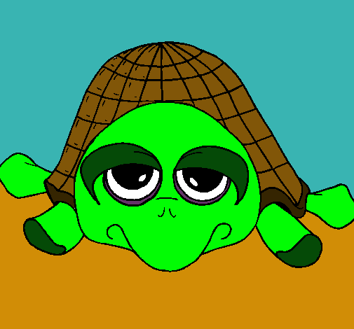 Dibujo Tortuga pintado por davidbc