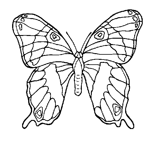 Dibujo Mariposa pintado por marcoalara