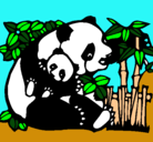 Dibujo Mama panda pintado por shelby