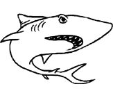 Dibujo Tiburón pintado por soriih