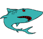 Dibujo Tiburón pintado por grazeane