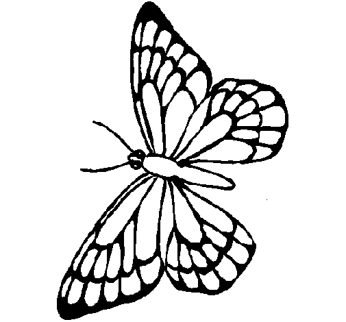 Dibujo Mariposa pintado por marcoalara