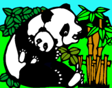 Dibujo Mama panda pintado por fiamma