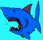 Dibujo Tiburón pintado por Lolo130306