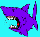 Dibujo Tiburón pintado por irinagonzale