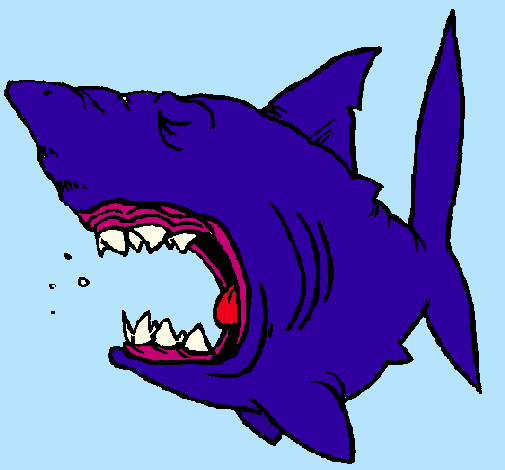 Dibujo Tiburón pintado por matiasgs