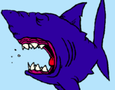 Dibujo Tiburón pintado por matiasgs