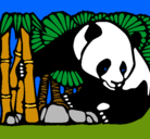 Dibujo Oso panda y bambú pintado por tapun