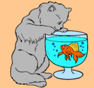 Dibujo Gato mirando al pez pintado por NAIARA-ACU