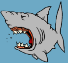 Dibujo Tiburón pintado por mathias60547