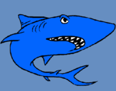 Dibujo Tiburón pintado por pituko
