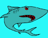 Dibujo Tiburón pintado por tiburoncinfs