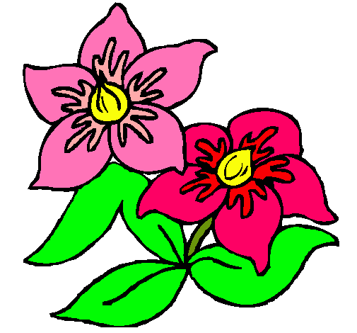 Dibujo Flores pintado por rous195