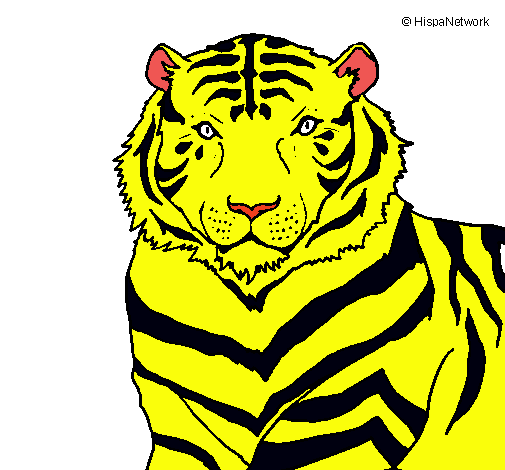 Dibujo Tigre pintado por vicente-