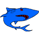 Dibujo Tiburón pintado por kitimporta