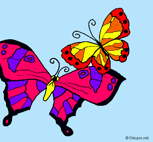 Dibujo Mariposas pintado por sunday