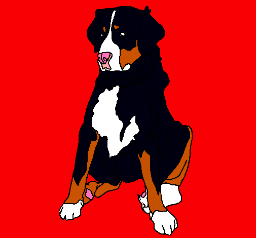 Dibujo Labrador pintado por agus041020