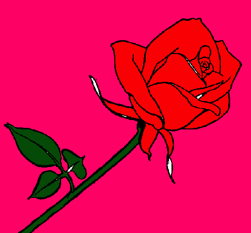 Dibujo Rosa pintado por floppy36