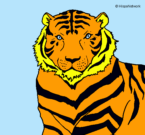 Dibujo Tigre pintado por sunday