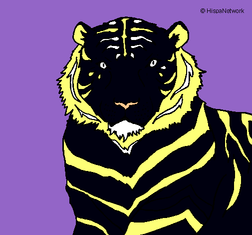 Dibujo Tigre pintado por stef