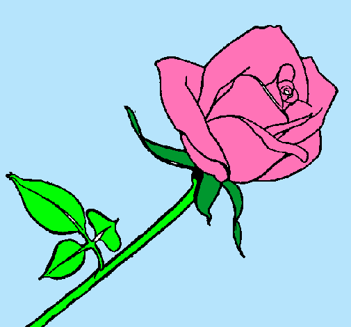 Dibujo Rosa pintado por lupyta