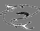 Dibujo Tiburón pintado por jota