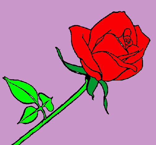 Dibujo Rosa pintado por 8877