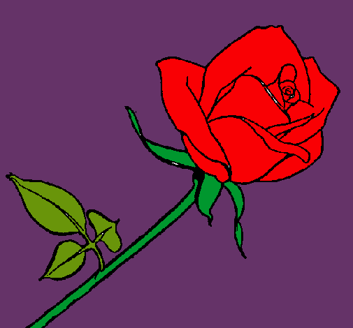 Dibujo Rosa pintado por cere