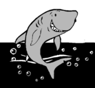 Dibujo Tiburón pintado por pinukkkkkkkk