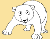 Dibujo Oso panda pintado por albaTC