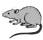 Dibujo Rata subterráena pintado por raton