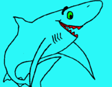Dibujo Tiburón alegre pintado por hanamontana