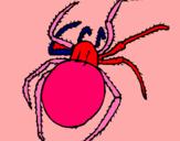 Dibujo Araña venenosa pintado por DESCHI
